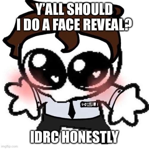 Need feedback | Y’ALL SHOULD I DO A FACE REVEAL? IDRC HONESTLY | image tagged in help | made w/ Imgflip meme maker