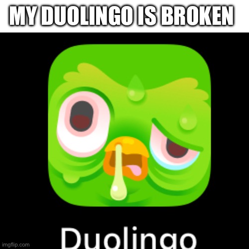 and ideas? | MY DUOLINGO IS BROKEN | image tagged in duo,duolingo,duolingo bird,help,send help,you have been eternally cursed for reading the tags | made w/ Imgflip meme maker