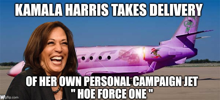 kamala harris meme | KAMALA HARRIS TAKES DELIVERY; OF HER OWN PERSONAL CAMPAIGN JET 
" HOE FORCE ONE " | image tagged in kamala harris | made w/ Imgflip meme maker