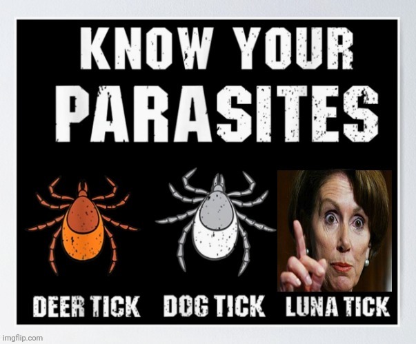 I have PDS , I can't believe how much I hate Nancy Pelosi | image tagged in witch,slime,inhuman sub creature,lowest form of life,scum,retched | made w/ Imgflip meme maker