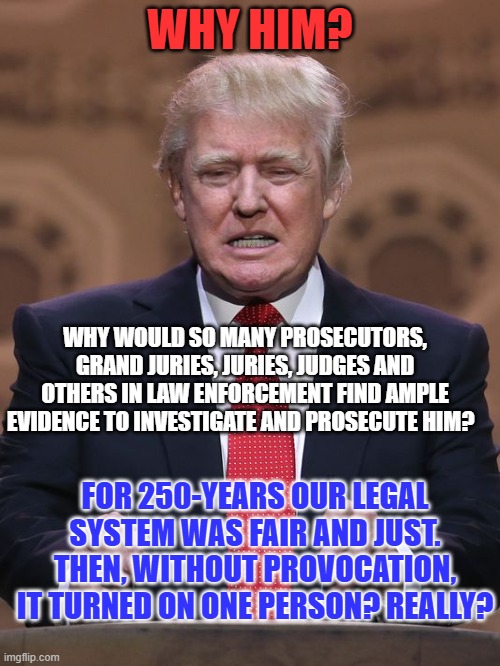 "Why's Everybody Always Picking On Me?" | WHY HIM? WHY WOULD SO MANY PROSECUTORS, GRAND JURIES, JURIES, JUDGES AND OTHERS IN LAW ENFORCEMENT FIND AMPLE EVIDENCE TO INVESTIGATE AND PROSECUTE HIM? FOR 250-YEARS OUR LEGAL SYSTEM WAS FAIR AND JUST. THEN, WITHOUT PROVOCATION, IT TURNED ON ONE PERSON? REALLY? | image tagged in donald trump | made w/ Imgflip meme maker