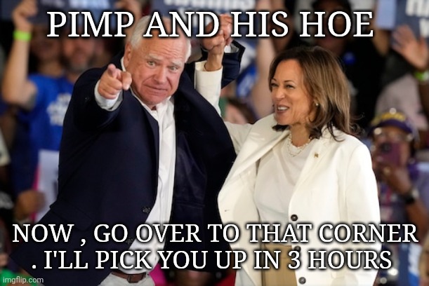 kamala harris meme | PIMP AND HIS HOE; NOW , GO OVER TO THAT CORNER . I'LL PICK YOU UP IN 3 HOURS | image tagged in kamala harris | made w/ Imgflip meme maker