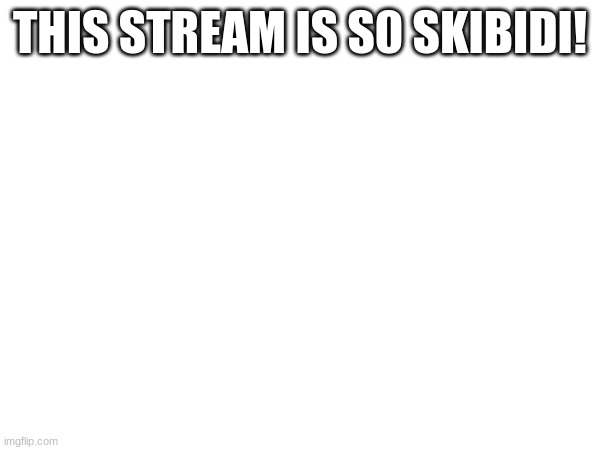 I am seegmaa | THIS STREAM IS S0 SKIBIDI! | made w/ Imgflip meme maker