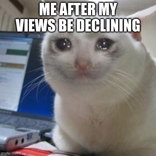 why?!!!! | ME AFTER MY VIEWS BE DECLINING | image tagged in crying cat,why,0 views | made w/ Imgflip meme maker