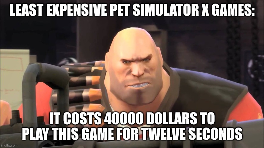 Before AidenDowning comments on this, he needs to add this to his own | LEAST EXPENSIVE PET SIMULATOR X GAMES:; IT COSTS 40000 DOLLARS TO PLAY THIS GAME FOR TWELVE SECONDS | image tagged in it costs 400000 dollars to fire this weapon for twelve seconds,roblox | made w/ Imgflip meme maker