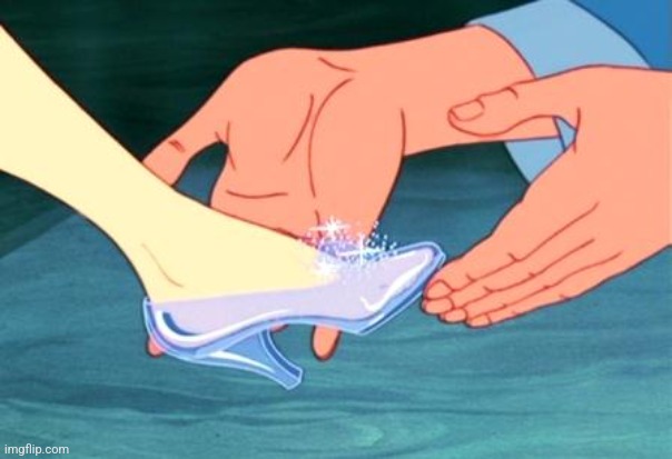 cinderella shoe fits | image tagged in cinderella shoe fits | made w/ Imgflip meme maker