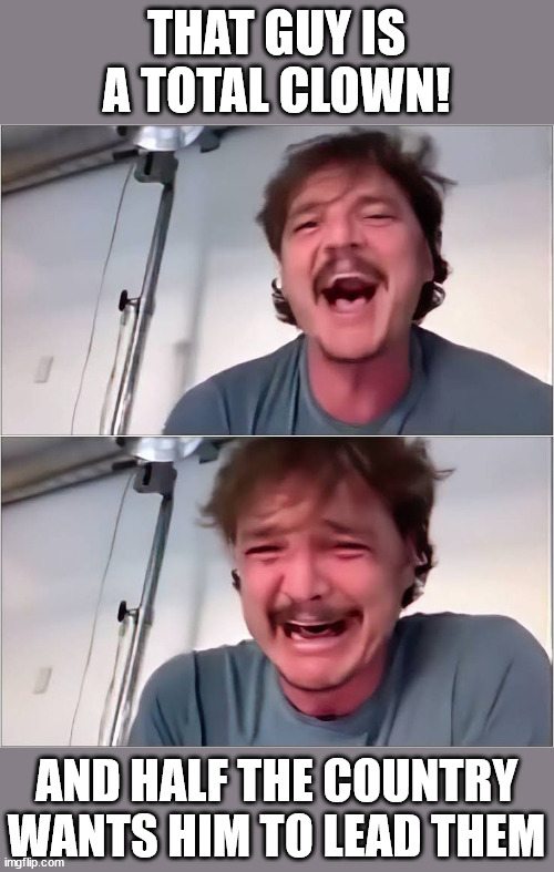 Pedro Pascal | THAT GUY IS A TOTAL CLOWN! AND HALF THE COUNTRY WANTS HIM TO LEAD THEM | image tagged in pedro pascal | made w/ Imgflip meme maker