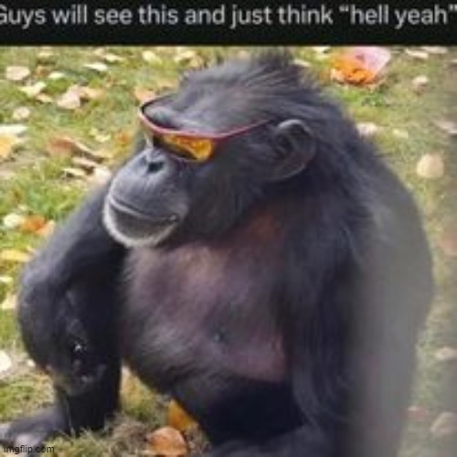 https://www.youtube.com/watch?v=z6i-sl5P66A | made w/ Imgflip meme maker