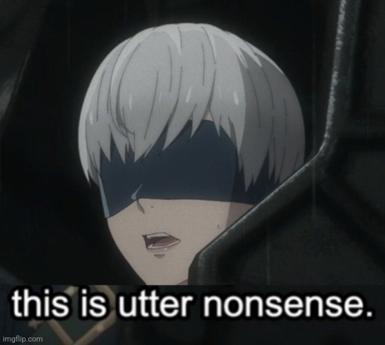 9S says this is utter nonsense | image tagged in 9s says this is utter nonsense | made w/ Imgflip meme maker