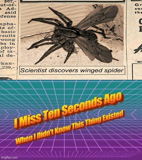 I miss ten seconds ago | image tagged in i miss ten seconds ago | made w/ Imgflip meme maker