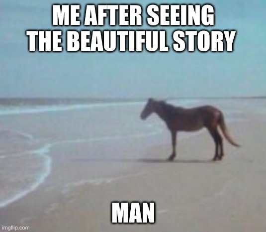 Horse on Beach Man | ME AFTER SEEING THE BEAUTIFUL STORY MAN | image tagged in horse on beach man | made w/ Imgflip meme maker