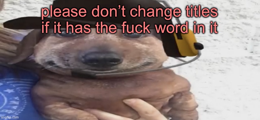 fuck fuck fuckity fuck fucking fuck | please don’t change titles if it has the fuck word in it | image tagged in chucklenuts | made w/ Imgflip meme maker