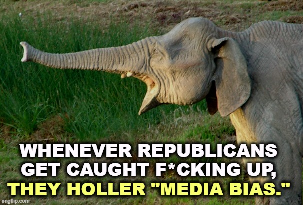 And they do f*ck up so often, no, continually. | WHENEVER REPUBLICANS GET CAUGHT F*CKING UP, THEY HOLLER "MEDIA BIAS." | image tagged in republicans,incompetence,fake news,biased media,excuses | made w/ Imgflip meme maker