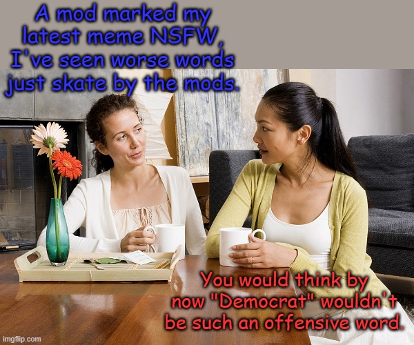 Well, not really, Democrat is really offensive when you think about it... | A mod marked my latest meme NSFW, I've seen worse words just skate by the mods. You would think by now "Democrat" wouldn't be such an offensive word. | image tagged in women talking over coffee | made w/ Imgflip meme maker