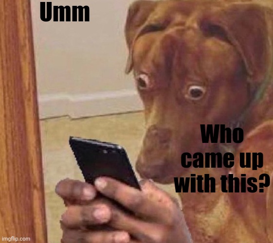 shocked dog | Umm Who came up with this? | image tagged in shocked dog | made w/ Imgflip meme maker