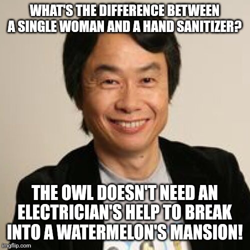 Shigeru Miyamoto | WHAT'S THE DIFFERENCE BETWEEN A SINGLE WOMAN AND A HAND SANITIZER? THE OWL DOESN'T NEED AN ELECTRICIAN'S HELP TO BREAK INTO A WATERMELON'S MANSION! | image tagged in shigeru miyamoto | made w/ Imgflip meme maker