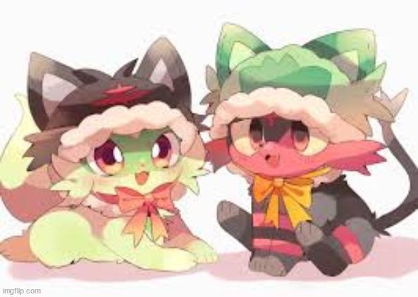 Sprigatito and Litten! | image tagged in cute,pokemon | made w/ Imgflip meme maker