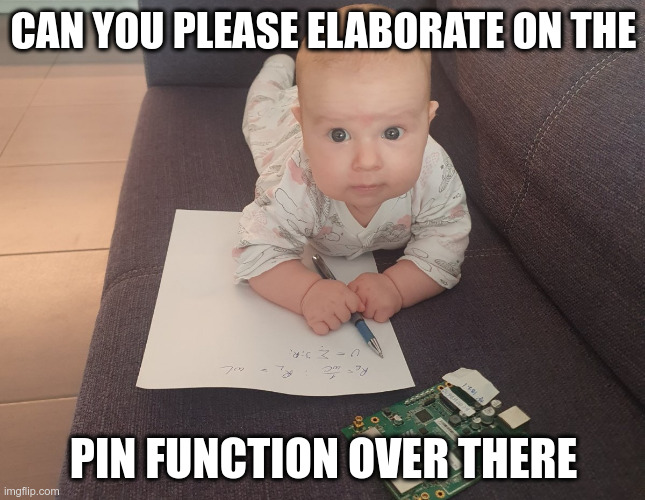 To compete with ChatGPT 17.5 you need to start early | CAN YOU PLEASE ELABORATE ON THE; PIN FUNCTION OVER THERE | image tagged in baby learner | made w/ Imgflip meme maker