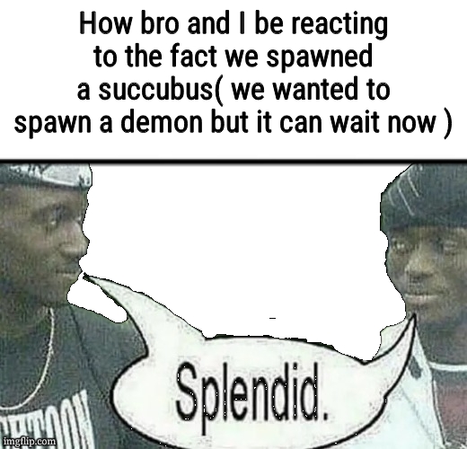 Splendid transparent | How bro and I be reacting to the fact we spawned a succubus( we wanted to spawn a demon but it can wait now ) | image tagged in splendid transparent | made w/ Imgflip meme maker