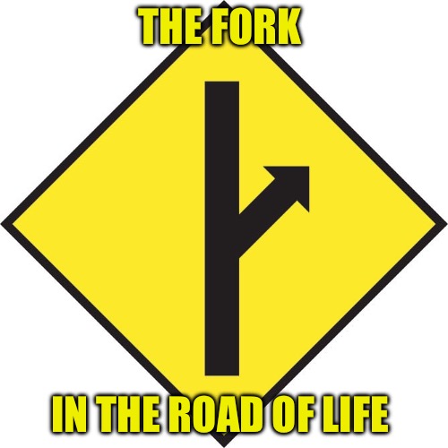 MGTOW | THE FORK; IN THE ROAD OF LIFE | image tagged in mgtow,divorce,life lessons,life,political meme,single life | made w/ Imgflip meme maker