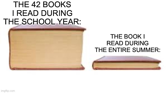 :/ | THE 42 BOOKS I READ DURING THE SCHOOL YEAR:; THE BOOK I READ DURING THE ENTIRE SUMMER: | image tagged in big book small book,books,reading | made w/ Imgflip meme maker