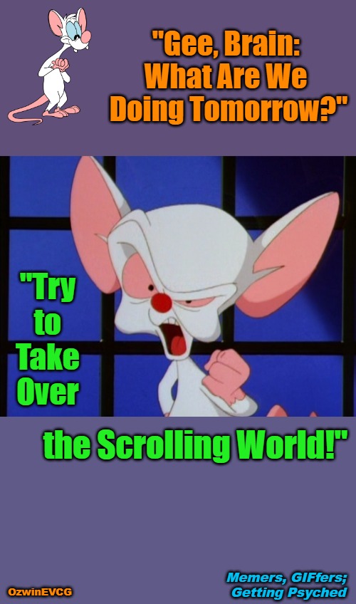 Memers, GIFfers; Getting Psyched | "Gee, Brain: 

What Are We 

Doing Tomorrow?"; "Try 

to 

Take 

Over; the Scrolling World!"; Memers, GIFfers; 

Getting Psyched; OzwinEVCG | image tagged in brain,gifs,social media,memes,goals,pinky | made w/ Imgflip meme maker