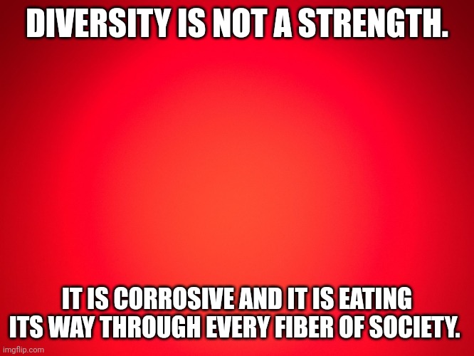 If this triggers any liberals who supports this, simply give one example of how it has made your life better. | DIVERSITY IS NOT A STRENGTH. IT IS CORROSIVE AND IT IS EATING ITS WAY THROUGH EVERY FIBER OF SOCIETY. | image tagged in red background | made w/ Imgflip meme maker