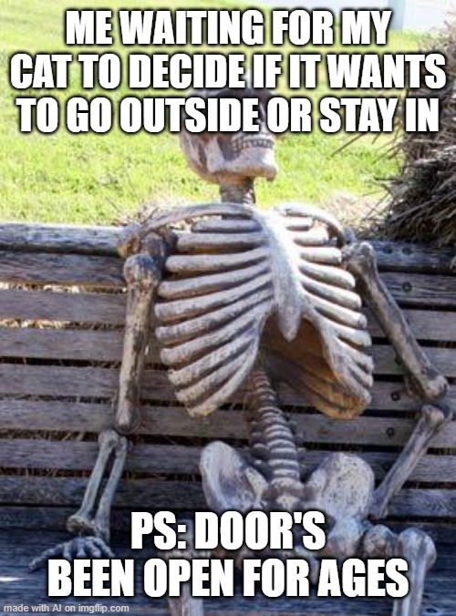 Waiting Skeleton | ME WAITING FOR MY CAT TO DECIDE IF IT WANTS TO GO OUTSIDE OR STAY IN; PS: DOOR'S BEEN OPEN FOR AGES | image tagged in memes,waiting skeleton | made w/ Imgflip meme maker