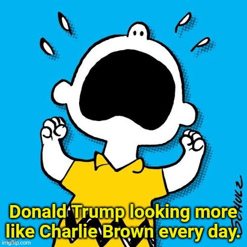 Charlie Brown (Peanuts) | Donald Trump looking more like Charlie Brown every day. | image tagged in charlie brown peanuts | made w/ Imgflip meme maker