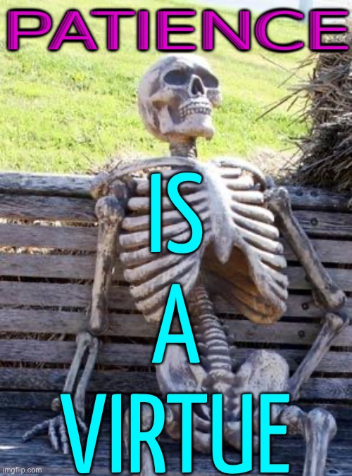 Patience Is A Virtue | PATIENCE; IS
A
VIRTUE | image tagged in waiting skelton,patience,dead,life,philosophy,life sucks | made w/ Imgflip meme maker