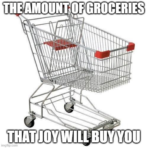 shopping cart | THE AMOUNT OF GROCERIES THAT JOY WILL BUY YOU | image tagged in shopping cart | made w/ Imgflip meme maker