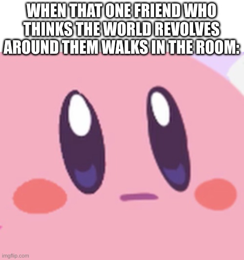 stfu bro nobody cares | WHEN THAT ONE FRIEND WHO THINKS THE WORLD REVOLVES AROUND THEM WALKS IN THE ROOM: | image tagged in blank kirby face | made w/ Imgflip meme maker