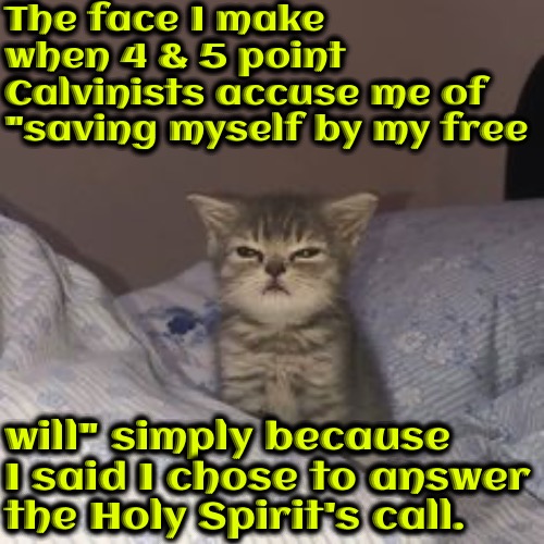 Face I Make | The face I make when 4 & 5 point Calvinists accuse me of "saving myself by my free; will" simply because I said I chose to answer the Holy Spirit's call. | image tagged in calvinism,arminian,free will,reformed theology,get off your high horse,face i make | made w/ Imgflip meme maker