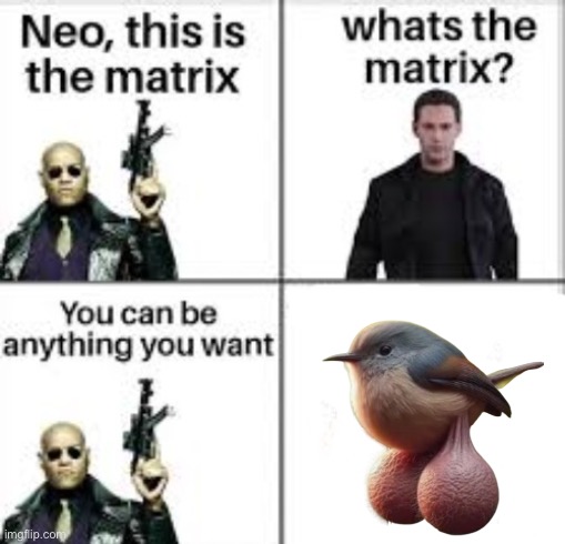 Neo this is the matrix | image tagged in neo this is the matrix | made w/ Imgflip meme maker