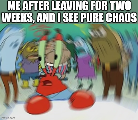 Mr Krabs Blur Meme | ME AFTER LEAVING FOR TWO WEEKS, AND I SEE PURE CHAOS | image tagged in memes,mr krabs blur meme | made w/ Imgflip meme maker