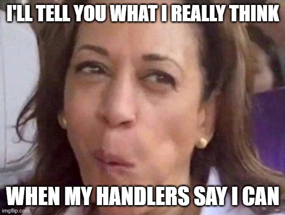 Hide what Kamala really thinks | I'LL TELL YOU WHAT I REALLY THINK; WHEN MY HANDLERS SAY I CAN | image tagged in kamala harris | made w/ Imgflip meme maker