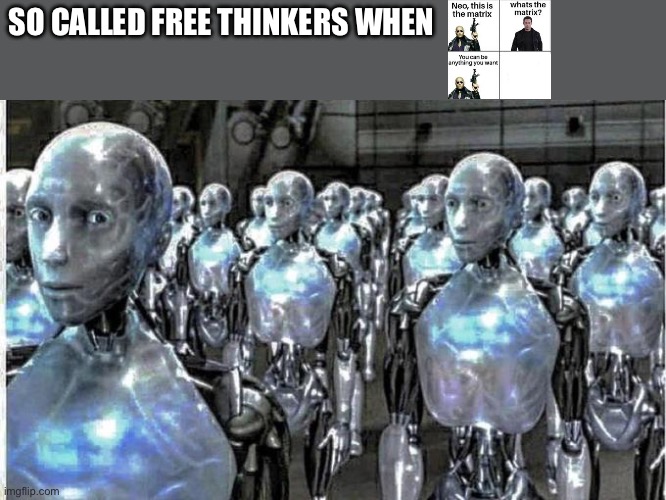 so called free thinkers | SO CALLED FREE THINKERS WHEN | image tagged in so called free thinkers | made w/ Imgflip meme maker