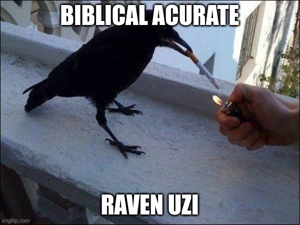 raven smoking | BIBLICAL ACURATE RAVEN UZI | image tagged in raven smoking | made w/ Imgflip meme maker