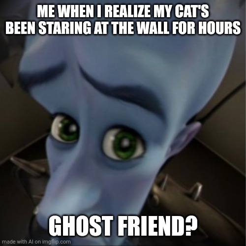 Megamind peeking | ME WHEN I REALIZE MY CAT'S BEEN STARING AT THE WALL FOR HOURS; GHOST FRIEND? | image tagged in megamind peeking,no bitches | made w/ Imgflip meme maker