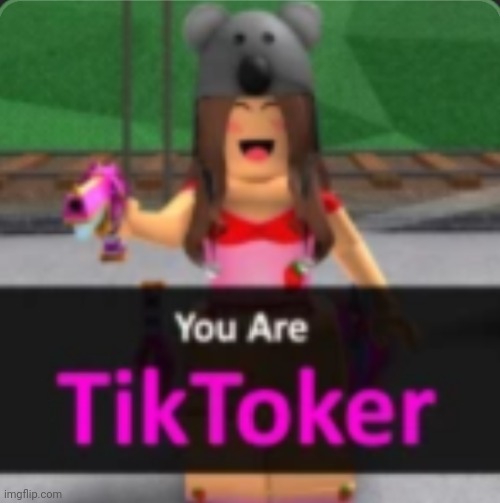 you are tiktoker 3 | image tagged in you are tiktoker 3 | made w/ Imgflip meme maker