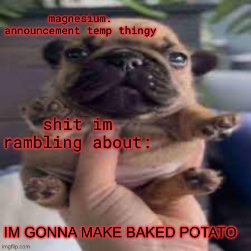 pug temp | IM GONNA MAKE BAKED POTATO | image tagged in pug temp | made w/ Imgflip meme maker