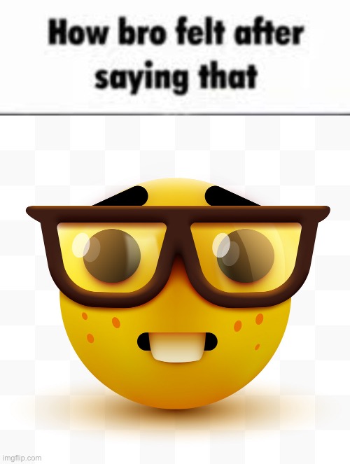 image tagged in how bro felt after saying that,nerd emoji | made w/ Imgflip meme maker