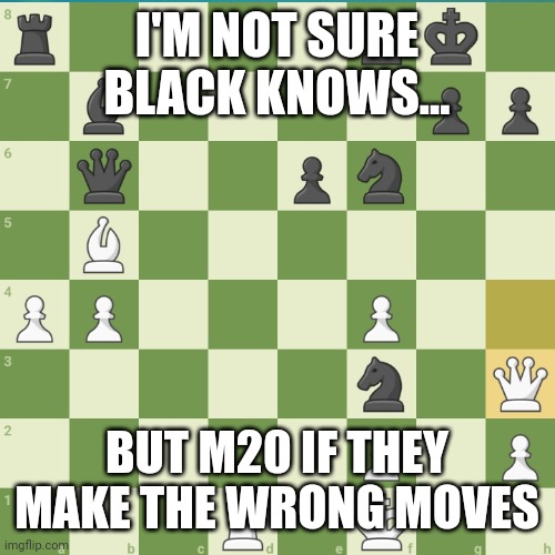 Magnus in 20 moves if Black goes wrong | I'M NOT SURE BLACK KNOWS... BUT M20 IF THEY MAKE THE WRONG MOVES | image tagged in memes,chess | made w/ Imgflip meme maker