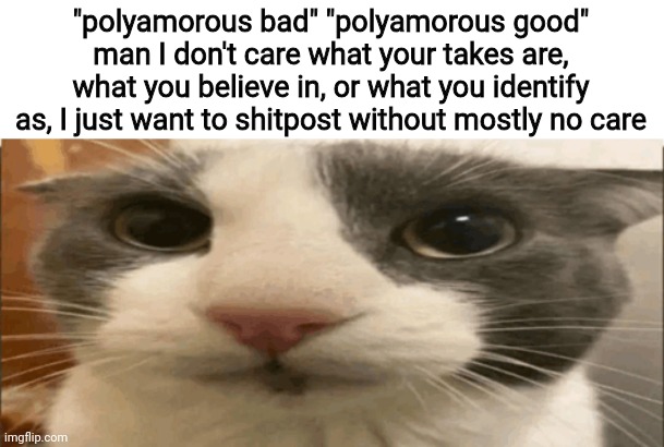 "polyamorous bad" "polyamorous good" man I don't care what your takes are, what you believe in, or what you identify as, I just want to shitpost without mostly no care | made w/ Imgflip meme maker