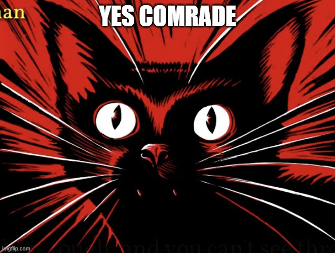 Sabo tabby | YES COMRADE | image tagged in sabo tabby | made w/ Imgflip meme maker