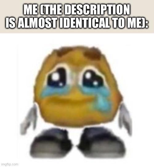 sad emoji creature abomination thing | ME (THE DESCRIPTION IS ALMOST IDENTICAL TO ME): | image tagged in sad emoji creature abomination thing | made w/ Imgflip meme maker