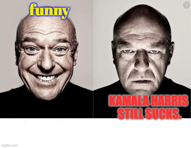 When you See a Liberal Meme that's Actually Funny | funny KAMALA HARRIS 
STILL SUCKS. | image tagged in hank schrader | made w/ Imgflip meme maker