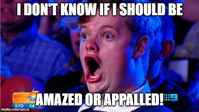 Amazed or Appalled? | I DON'T KNOW IF I SHOULD BE; AMAZED OR APPALLED! | image tagged in amazed magikarp | made w/ Imgflip meme maker