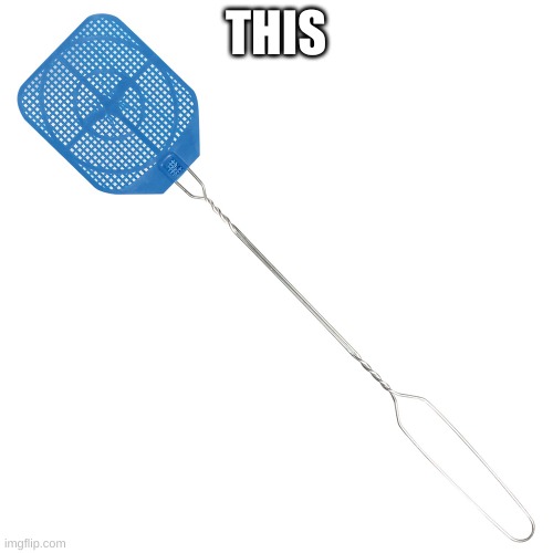 Fly swatter | THIS | image tagged in fly swatter | made w/ Imgflip meme maker
