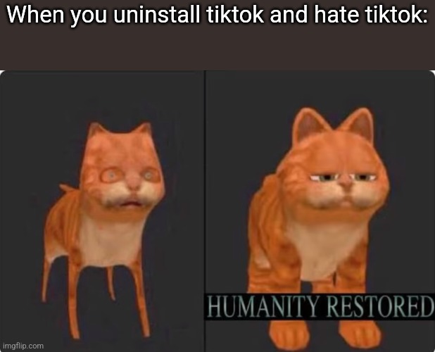 humanity restored | When you uninstall tiktok and hate tiktok: | image tagged in humanity restored | made w/ Imgflip meme maker